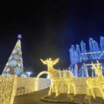 カナダ高校留学